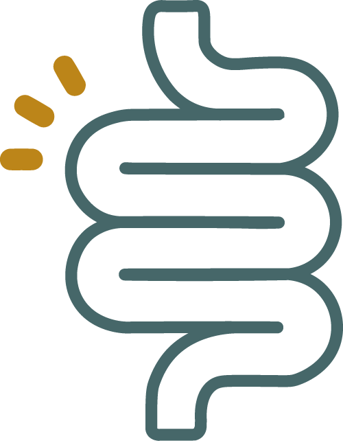 Kinesiología holística Barcelona MUCOSA INTESTINAL