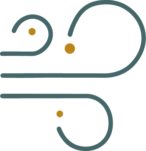 Ayurveda clínico en Barcelona